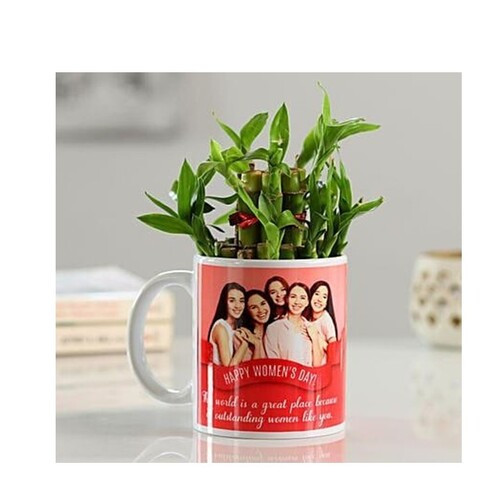 Plant in a Mug
