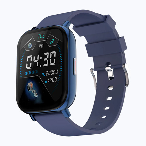 Zebronics ZEB FIT- SMART FITNESS BAND (FIT7220CH METALLIC)